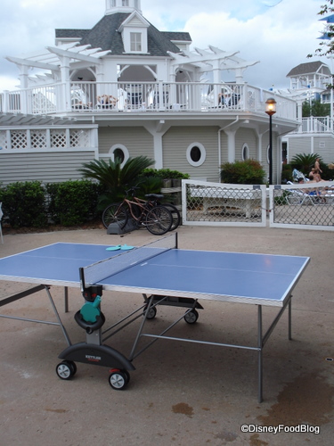 Stormalong Bay Ping Pong Table