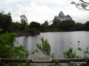 Your View From the Flame Tree Barbecue