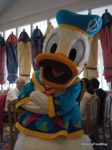 Silly Donald! You Don't NEED A Swimsuit!