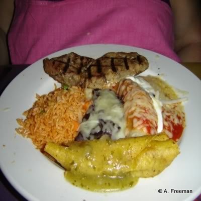 Combination Plato -- Enchilada, Burrito, Steak
