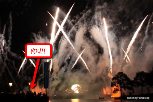IllumiNations: Reflections of Earth -- And Your View from Snack Attack!