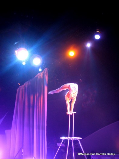 An-acrobat-and-contortionist-from-Cirque-Du-Soleil-La-Nouba-393x525.jpg