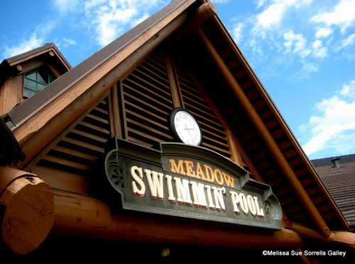 Meadow-Swimmin-Pool-500x372.jpg