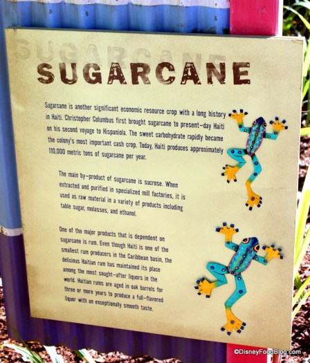 Sugarcane-Info-in-Line-Queue-Area-448x525.jpg