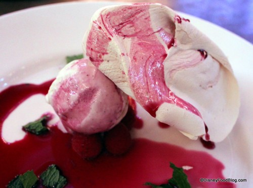 Dundons-Delight-raspberry-pavlova-with-vanilla-pod-ice-cream-and-raspberry-sauce-500x373.jpg