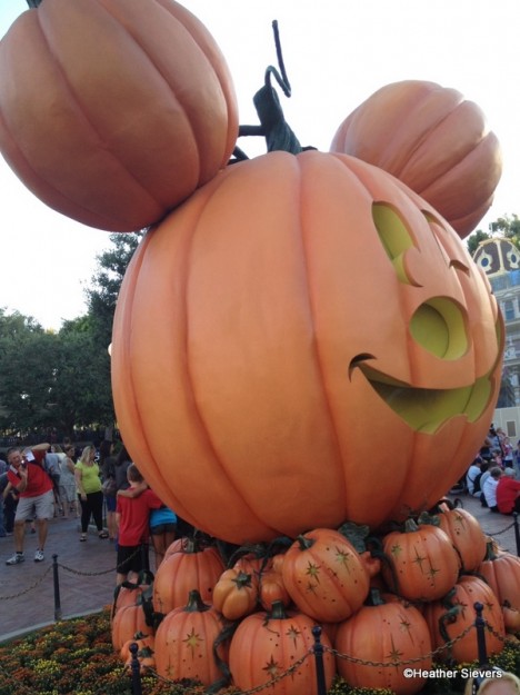 Big Mickey Pumpkin