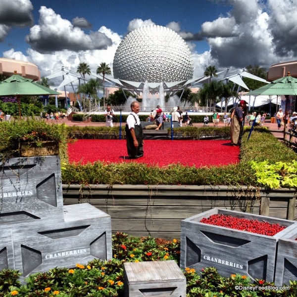 Ocean Spray Cranberry Bog Is Back at the 2015 Epcot Food and Wine Festival