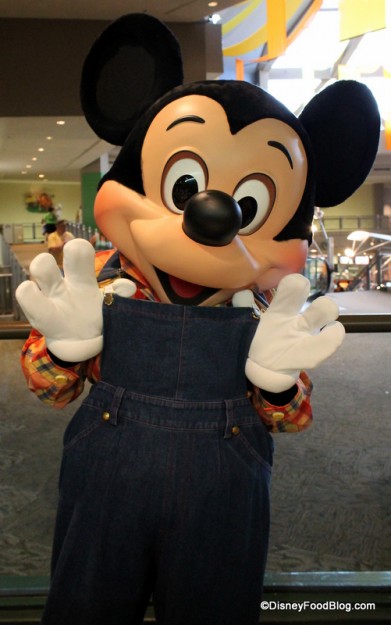 Farmer Mickey