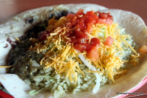 Vegetarian Burrito with toppings