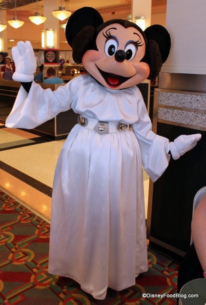 Princess Leia Minnie