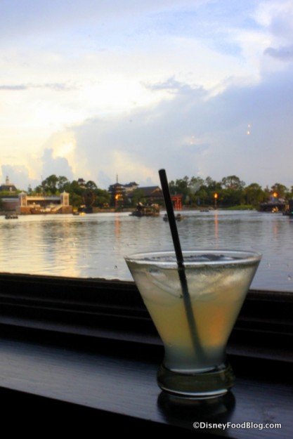 Classic Margarita with a View