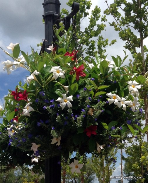 Red, White, and Blue flowers at the American Adventure Pavilion