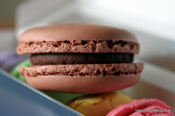 Chocolate Macaron -- Up Close
