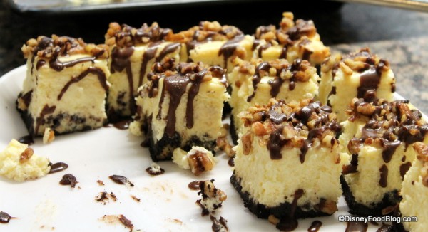 Turtle Cheesecake -- Up Close