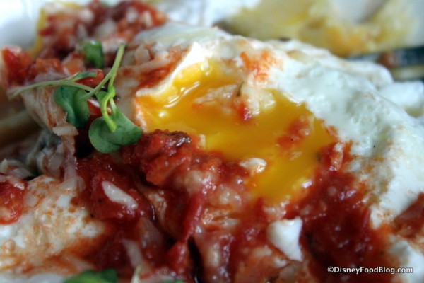 Poached Egg and Tomato Gravy -- Up Close