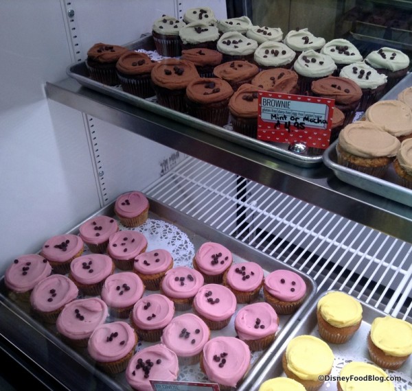 Cupcake bakery case