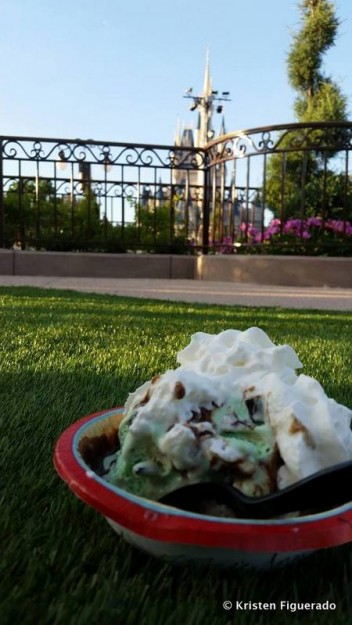Ice Cream in the New Garden at Magic Kingdom