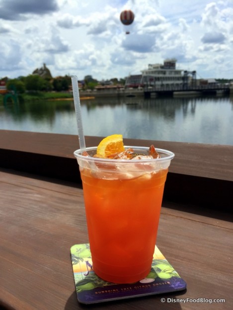 Rum Runner with a View