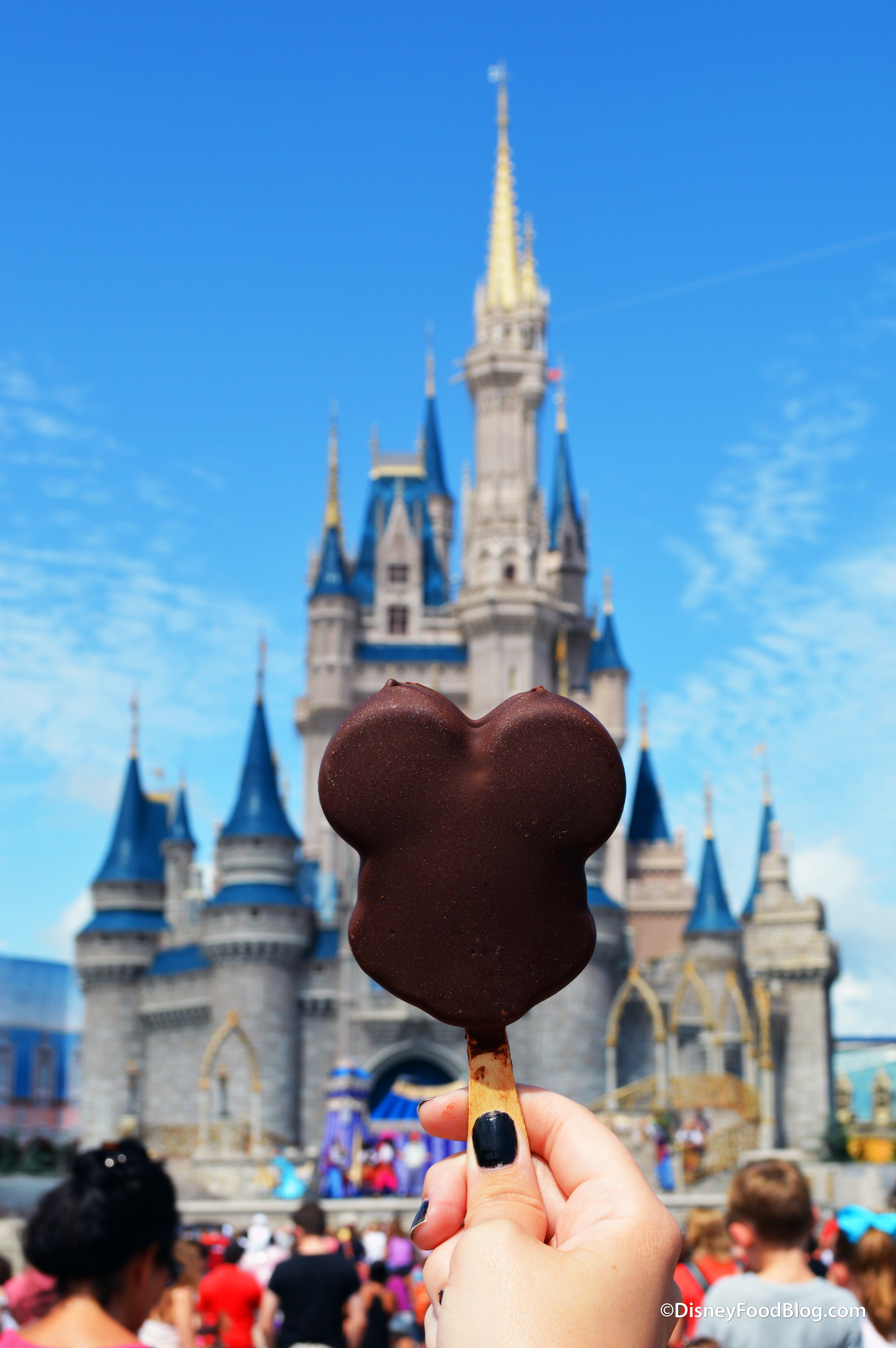 NEW Disney Parks Walt Disney World Mickey and Minnie Cinderella Castle Magnet