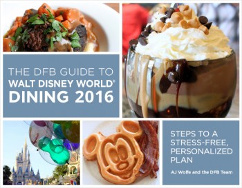2016 book cover dfb guide