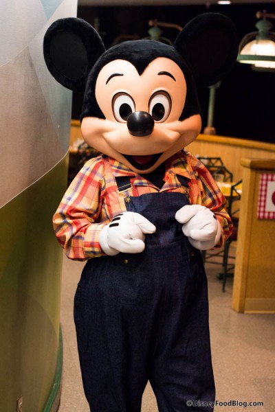 Farmer Mickey!