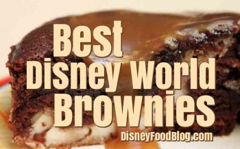 Best Disney World Brownies