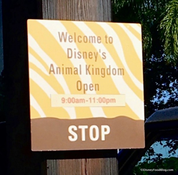 Disney's Animal Kingdom... open until 11:00 pm!