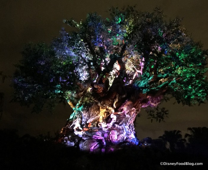 Tree of Life Awakening at Night