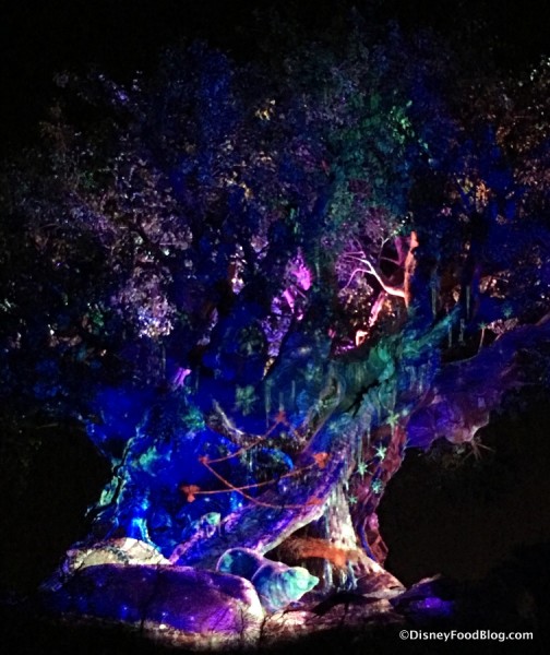 The Tree of Life at Night