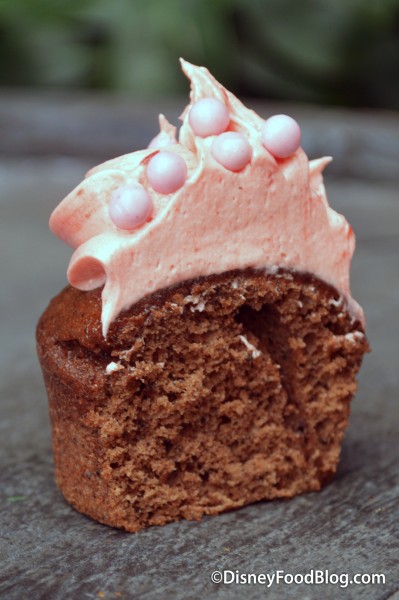 Strawberry Mini Cupcake Cross Section