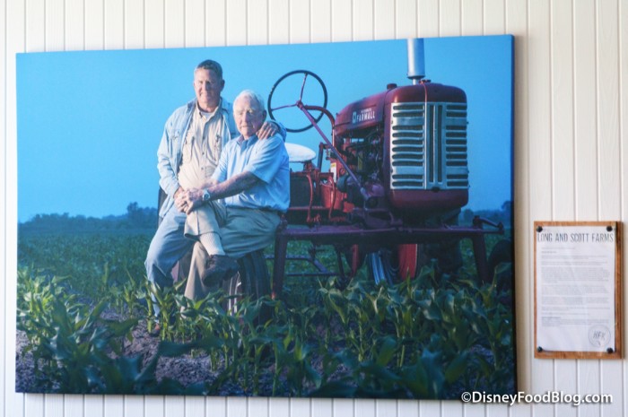 Portrait from Long and Scott Farms