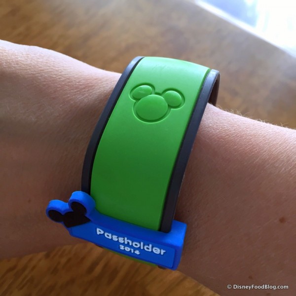 There Are Lots of MagicBand Colors to Choose From!