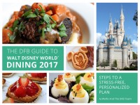 2017-dfb-guide-cover-mockups-r2-003