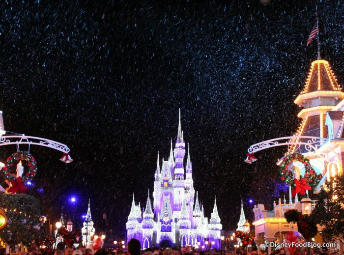 Cinderella Castle all lit up!