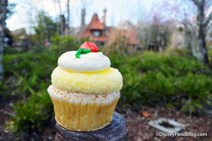 Belle Cupcake from Big Top Treats in Magic Kingdom