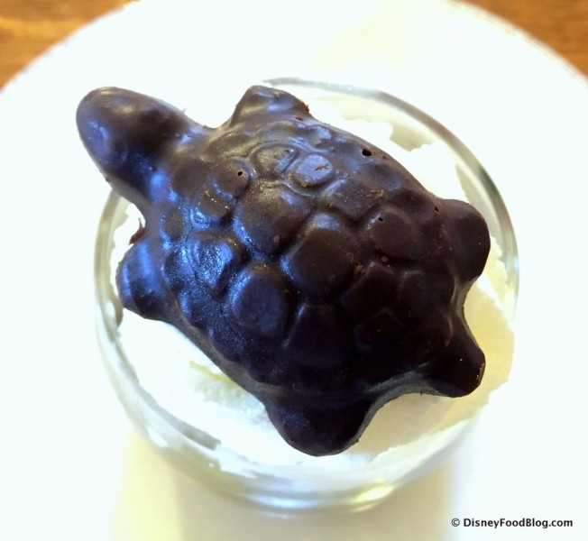 Chocolate Sea Turtle