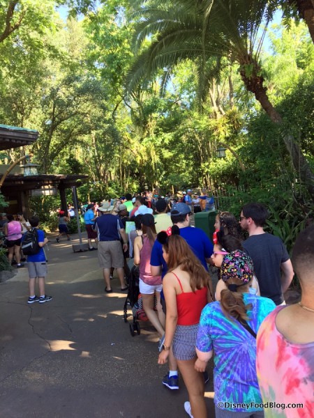 Line to get into Pandora from the front of Animal Kingdom