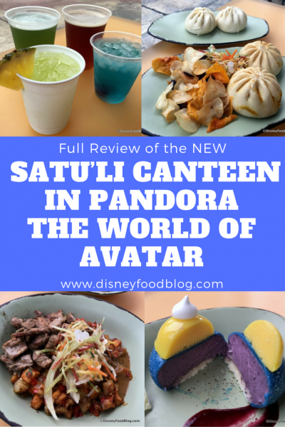 Check out our FULL review of The New Satu’li Canteen in Animal Kingdom’s Pandora — The World of AVATAR