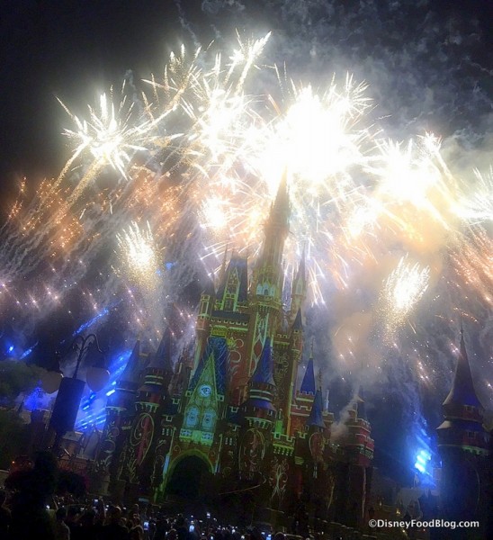 Magic Kingdom's Happily Ever After Fireworks Spectacular 