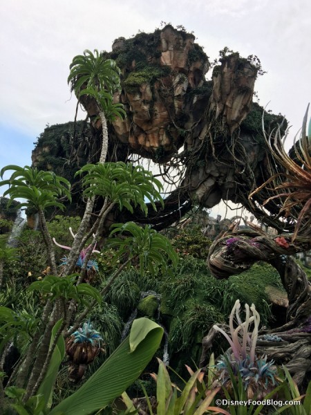 Welcome to Pandora -- The World of AVATAR!