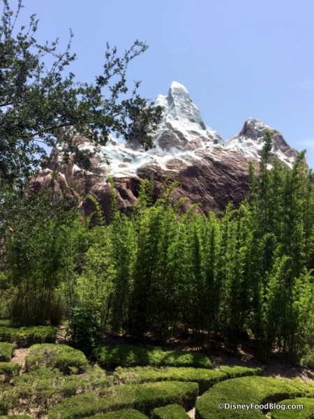 View of Everest in Animal Kingdom's Asia