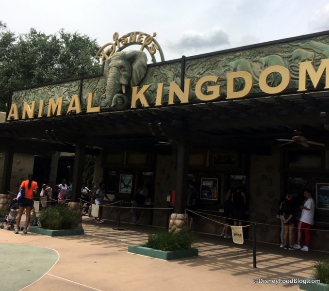 Welcome to Animal Kingdom!