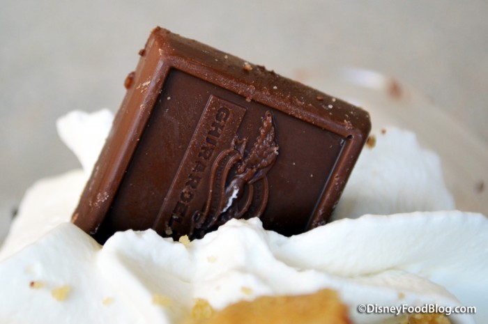 Chocolate - Caramel Squares
