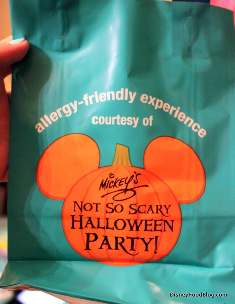 Teal Allergy-Friendly Trick or Treat Bag