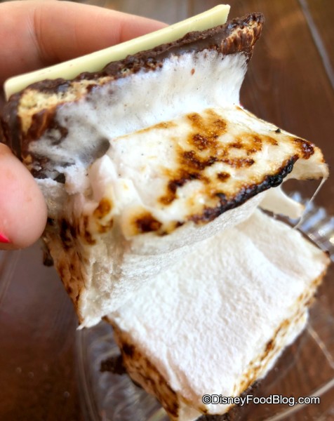 S'more Marshmallow!