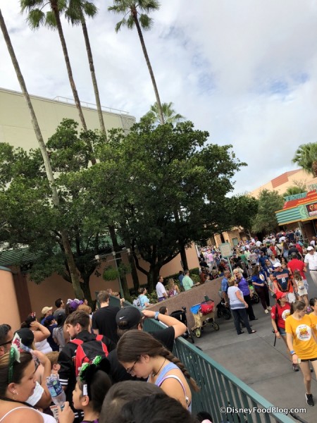 Toy Story land Opening Day Lines