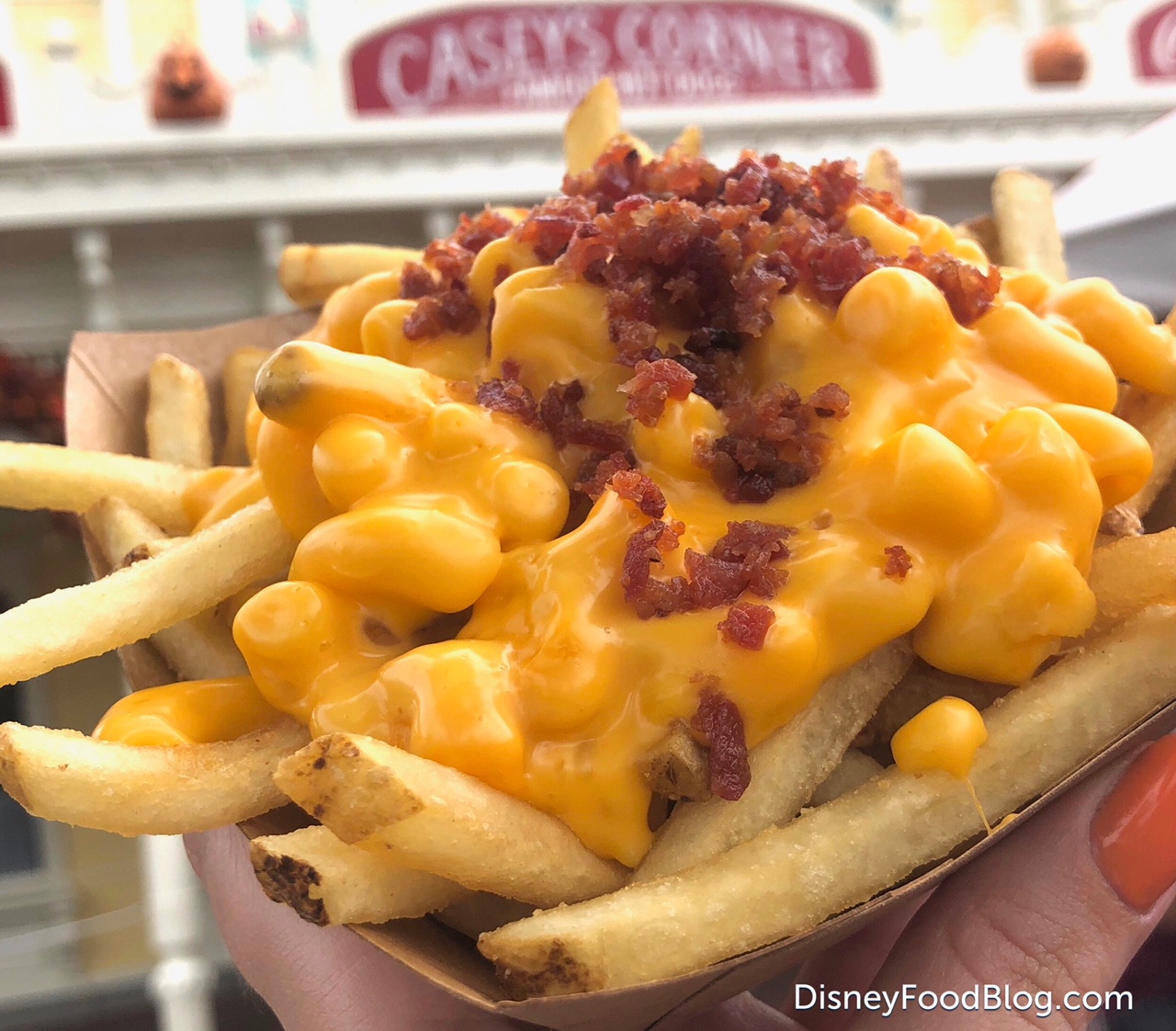 NEW! Bacon Mac and Cheese French Fries = Carb Heaven in Disney World! | the  disney food blog