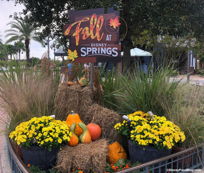 West-Side-Fall-at-Disney-Springs-Decor_0