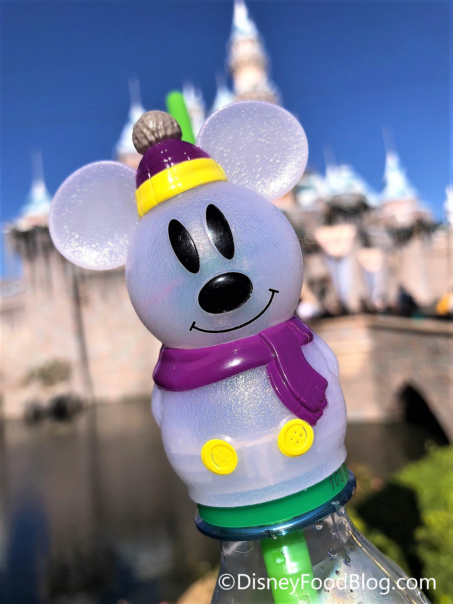 Disney Chef Mickey Mouse Water Bottle