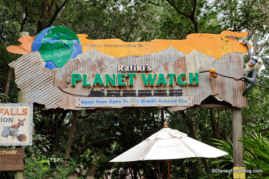 NEW Animation Experience to Debut in Disney's Animal Kingdom with Reopening  of Rafiki's Planet Watch in July | the disney food blog